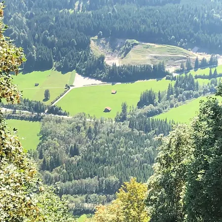 Ferienhaus Ellenfeld Διαμέρισμα Wängle